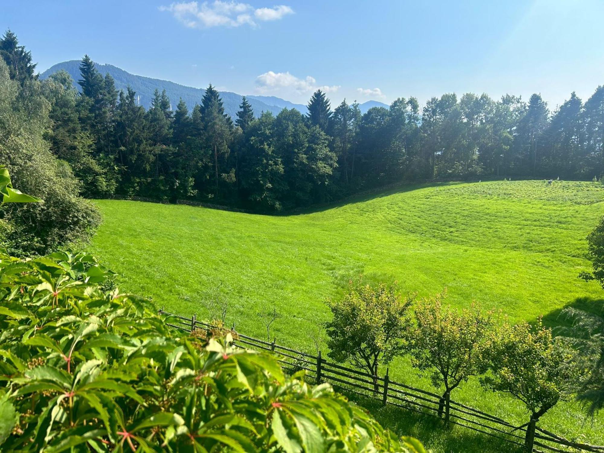 Appartamenti Aldeinerhof Zewnętrze zdjęcie